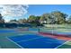 A view of the community's pickleball courts, showing the multi-colored courts and surrounding greenery at 261 Rochester St, Spring Hill, FL 34609