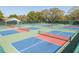 Community Pickleball Courts are neatly arranged and ready for play at 284 Quane Ave, Spring Hill, FL 34609