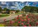 Beautiful street view showcasing well-kept lawns and vibrant flowerbeds in a quiet neighborhood at 284 Quane Ave, Spring Hill, FL 34609