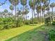 Lush backyard surrounded by tall trees, offering a serene and private outdoor space at 4740 Tuscan Loon Dr, Tampa, FL 33619