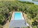Aerial view of community pool with sun loungers surrounded by lush greenery at 4740 Tuscan Loon Dr, Tampa, FL 33619