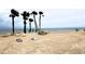 A large beach featuring cornhole boards, chairs, palm trees, and ocean waters for recreation and relaxation at 4837 Rainbow Race, New Port Richey, FL 34652