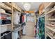 Spacious walk-in closet with custom shelving, drawers, and ample hanging space at 4939 Floramar Ter # 902, New Port Richey, FL 34652