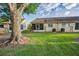 Backyard featuring green lawn, screened in patio, and mature trees at 6425 Thicket Trl, New Port Richey, FL 34653