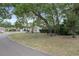 Single story home with trees in front yard, lawn, and adjacent street at 6490 Pine Meadows Dr, Spring Hill, FL 34606