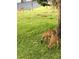 Lawn with several deer enjoying the landscape of the neighborhood at 6583 River Run Blvd # 21005, Weeki Wachee, FL 34607