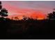Beautiful sunset behind the trees, seen from the property at 6583 River Run Blvd # 21005, Weeki Wachee, FL 34607