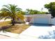 Charming single-story home featuring a well-maintained lawn and a picturesque palm tree in the front yard at 9200 Lunar Ln, Port Richey, FL 34668