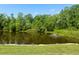 Lush pond view with trees, including grass and rock border offering a serene backdrop at 11631 Bayonet Ln, New Port Richey, FL 34654