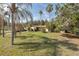 Inviting front yard with lush greenery and mature palm trees framing a cozy home at 12250 Lacey Dr, New Port Richey, FL 34654