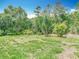 View of the grassy backyard with mature trees and lush, tropical landscaping at 13003 Sandburst Ln, Hudson, FL 34667