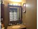 Bathroom featuring a vanity with storage and a mirrored cabinet for toiletries at 1983 Abrico Dr # H-9, Lutz, FL 33558