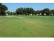 Expansive view of a green golf course fairway with mature trees in the background at 2402 Ecuadorian Way # 40, Clearwater, FL 33763