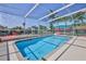 Screened-in pool area with tropical mural, ideal for relaxation and entertaining in a private outdoor space at 3352 Gulfview Dr, Hernando Beach, FL 34607