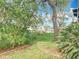 Well-maintained backyard featuring a mature tree, green grass, and landscaping adjacent to the waterway at 4420 Marine Pkwy, New Port Richey, FL 34652