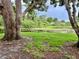 Beautiful Backyard featuring a pond and grass at 4903 Myrtle Oak Dr # 12, New Port Richey, FL 34653