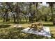Enjoy outdoor dining with a picnic table and grill nestled in a shady spot surrounded by mature trees at 7520 Mako Dr, Hudson, FL 34667