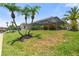Beautiful backyard with mature palm trees and screened-in patio, providing a relaxing and private outdoor oasis at 9810 Compass Point Way, Tampa, FL 33615