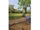 Large backyard has lush green space and mature trees offering a serene outdoor retreat at 6339 Delaware Ave, New Port Richey, FL 34653