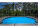 Inviting in-ground screened pool offers a refreshing retreat surrounded by lush greenery and mature trees at 10344 Tecoma Dr, Trinity, FL 34655
