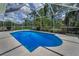 A crystal-clear pool is surrounded by lush greenery, creating a private oasis at 10344 Tecoma Dr, Trinity, FL 34655