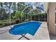 Beautiful pool is enclosed in a screened lanai offering views of the tropical backyard at 10344 Tecoma Dr, Trinity, FL 34655
