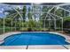 Inviting swimming pool is surrounded by a screened enclosure and lush landscaping at 10344 Tecoma Dr, Trinity, FL 34655