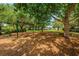 Swings in a shady community park area with mature trees, offering a fun and relaxing outdoor space at 10344 Tecoma Dr, Trinity, FL 34655