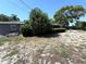 Backyard area with a view of the home's exterior and a sandy yard at 10431 Syringa Ct, Port Richey, FL 34668