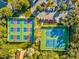 Aerial view of colorful tennis courts and parking with lush trees surrounding the area at 11350 Copley Ct, Spring Hill, FL 34609