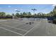 Well maintained community tennis courts with lights and net surrounded by trees and green space at 11611 Callisia Dr, Odessa, FL 33556