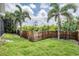 Fenced backyard featuring green grass and a border of tropical trees including two mature palms at 1222 Starboard Ky, Tarpon Springs, FL 34689