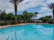 Community pool area with palm trees and lounge chairs, offering a relaxing oasis at 12408 Country White Cir, Tampa, FL 33635