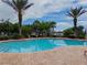 Inviting pool with clear blue water surrounded by palm trees and lounge chairs at 12408 Country White Cir, Tampa, FL 33635
