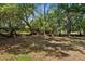 Lush backyard featuring mature trees, natural beauty, and a serene setting for outdoor activities at 1253 Culbreath Rd, Brooksville, FL 34602
