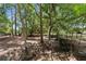 Serene wooded area with mature trees and exposed roots, enhancing the property's natural beauty at 1253 Culbreath Rd, Brooksville, FL 34602