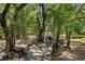 Scenic backyard with lush trees and natural beauty at 1253 Culbreath Rd, Brooksville, FL 34602