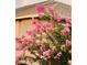This home boasts pink flowers, and a roof line with gutters under a partially cloudy sky at 18520 Hidden Pines Way, Hudson, FL 34667