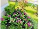 Landscaping shows manicured flowerbeds with pink flowers, bushes, and plush grass at 18520 Hidden Pines Way, Hudson, FL 34667