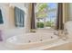 Bathroom features a large soaking tub with a view of a palm tree through an arched window at 22431 Willow Lakes Dr, Lutz, FL 33549