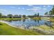 Scenic view of backyard pond with fountain, lush grass, and landscaping at 22431 Willow Lakes Dr, Lutz, FL 33549