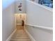 Carpeted stairway with flamingo art leading to the basement featuring coastal-themed décor at 3546 Flamingo Blvd, Hernando Beach, FL 34607