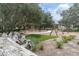 Community playground area with tower, bridge, slides, swing set and climbing ropes at 3767 Dragonfly Trl, Odessa, FL 33556