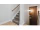 Carpeted staircase leading down to the 'Speakeasy' entrance at 4348 Harborpointe Dr, Port Richey, FL 34668