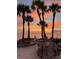 Striking sunset view behind a coastal shoreline featuring palm trees, beach access, and benches to take in the scenery at 4937 Dory Dr, New Port Richey, FL 34652