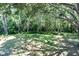 Sprawling backyard featuring lush greenery and mature trees, creating a private and serene outdoor space at 6454 Summerfield Loop, Trinity, FL 34655