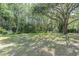 Expansive backyard offers mature trees and ample space, perfect for recreation and outdoor enjoyment at 6454 Summerfield Loop, Trinity, FL 34655