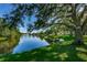 Overhanging tree frames a view of the pond with fountain, offering shade and a peaceful, natural setting at 7807 Hardwick Dr # 123, New Port Richey, FL 34653