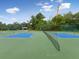 Outdoor pickleball court surrounded by greenery and bathed in natural light at 8393 Delaware Dr, Weeki Wachee, FL 34607