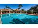 Resort-style community pool with inviting blue water, palm trees, lounge chairs, and covered seating areas at 9933 Milano Dr, Trinity, FL 34655